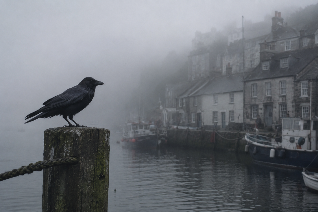 Of Swallows, Sea Fog and Old Legends