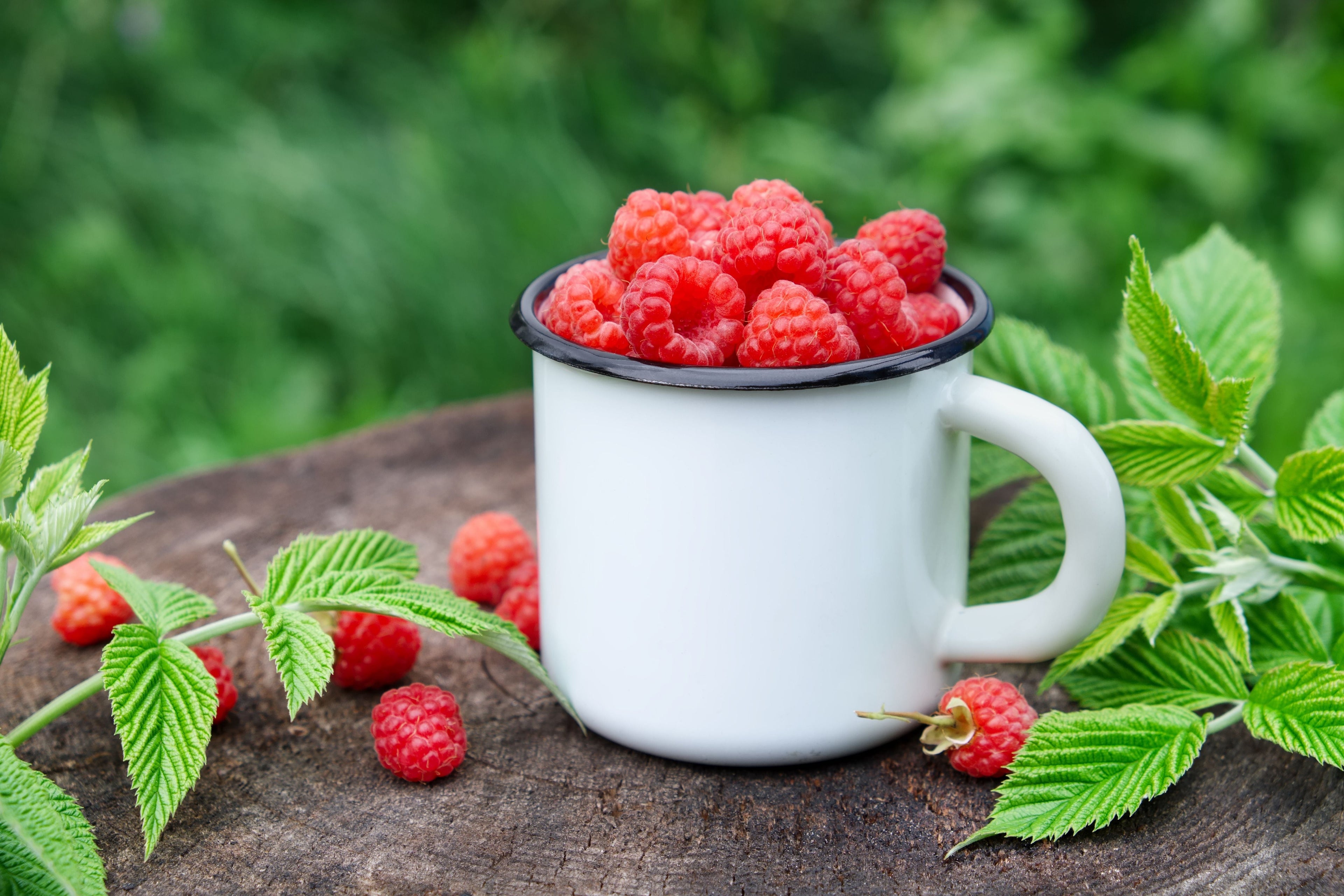 Drinkware